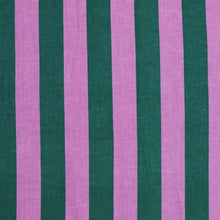 SP 1565 Bold stripe azalea