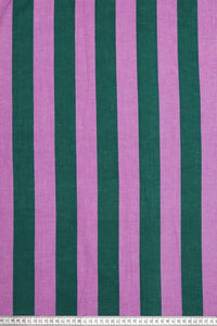 SP 1565 Bold stripe azalea