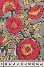 BP 1624 Petunia