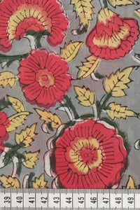 BP 1624 Petunia