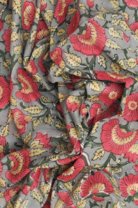 BP 1624 Petunia