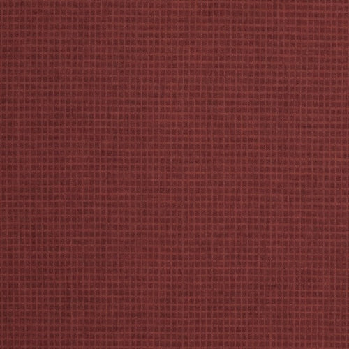 LIN 1668 Tictac spice