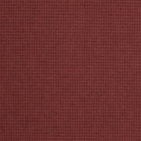 LIN 1668 Tictac spice
