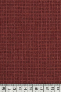 LIN 1668 Tictac spice