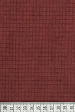 LIN 1668 Tictac spice