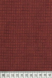 LIN 1668 Tictac spice