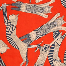 SP 1702 Cat's pyjamas jaffa