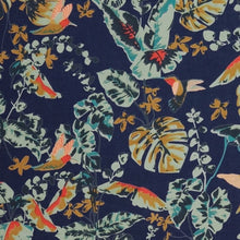 SP 1718 Hummingbird forest