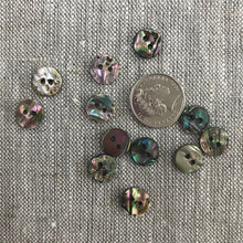 Buttons Paua 10mm (6)