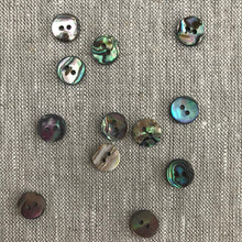 Buttons Paua 11.25mm (6)